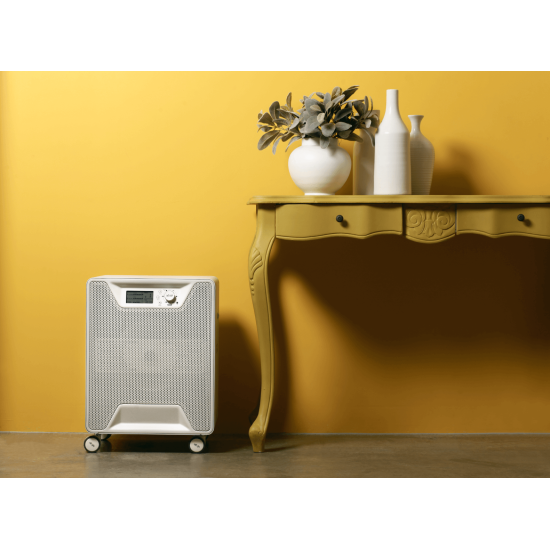 Установка обеззараживания воздуха Airgle AG600 disinf