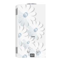 Газовый проточный водонагреватель VEKTOR 10 G (стекло) картинка Ромашка