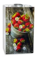 Газовый проточный водонагреватель Lenz Technic 10L BERRY