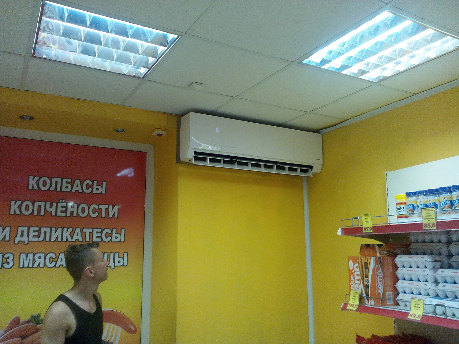 Климат в птичниках и животноводческих помещениях