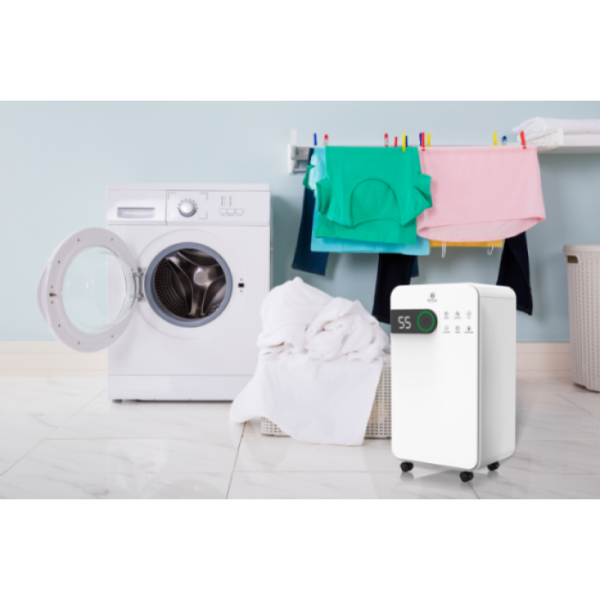 Осушитель воздуха Royal Clima RD-PC12-EW