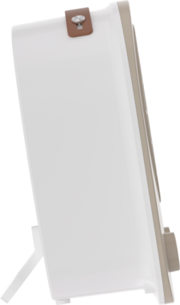 Тепловентилятор EcoStar EFH-C2000DS-WBG