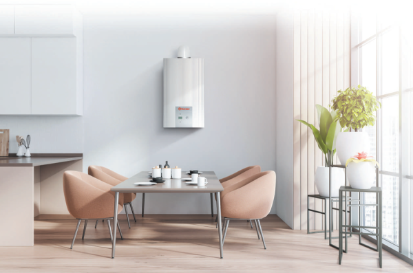 Настенный газовый котел Thermex EuroElite F13