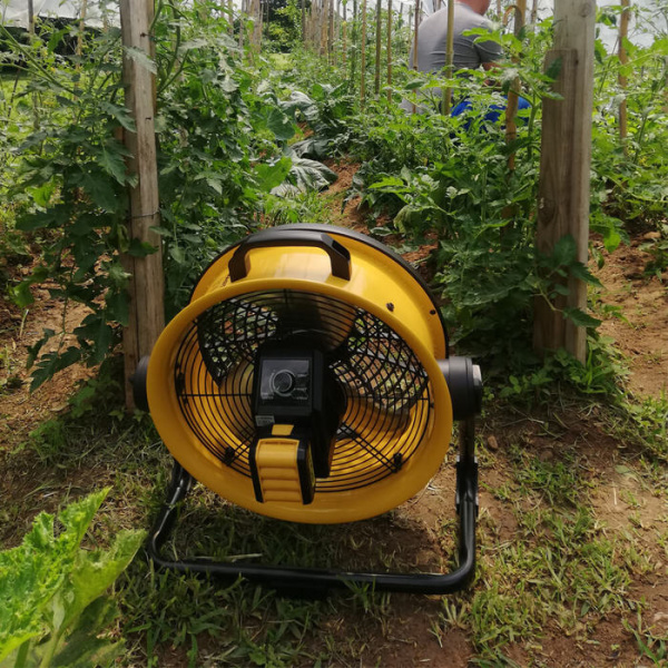 Напольный вентилятор  Master DFB 16