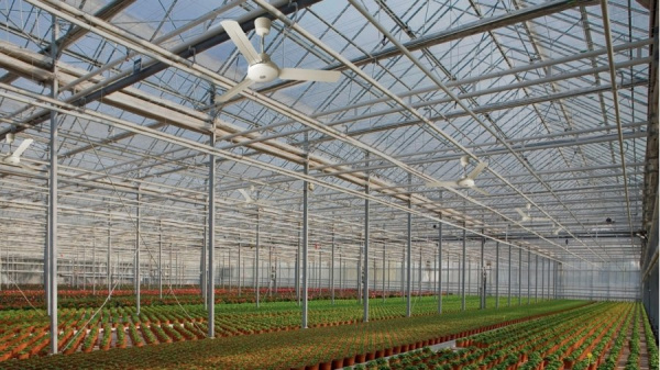 Вентилятор без подсветки Vortice Nordik International Plus 160/60