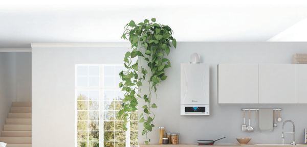 Настенный газовый котел Thermex Hydra HM24