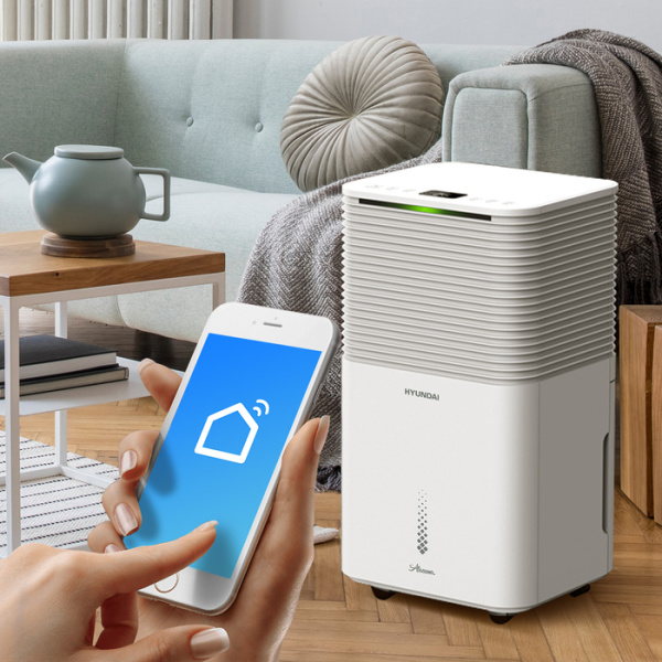 Бытовой осушитель воздуха Hyundai H-DH10-P81WF