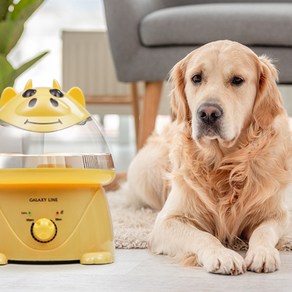 Ультразвуковой увлажнитель воздуха GALAXY LINE GL 8009