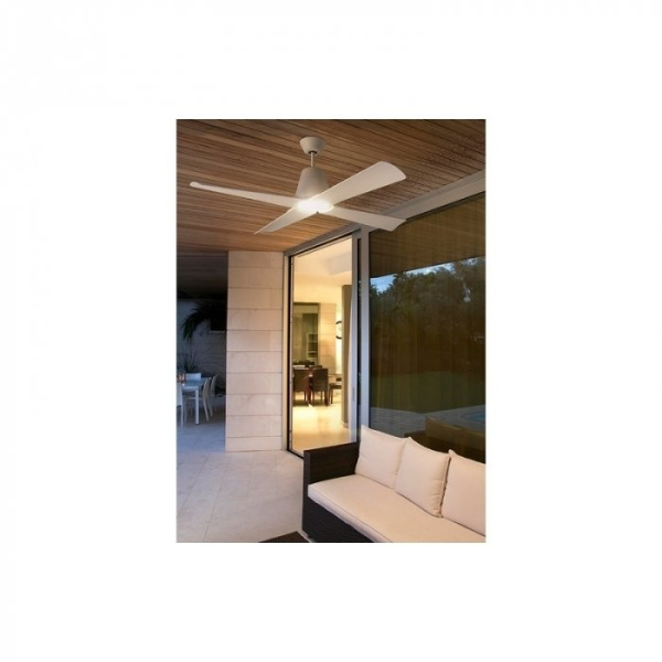 Вентилятор с подсветкой Faro Typhoon 1L (33480-14)