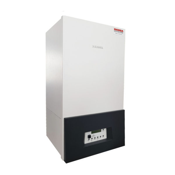 Настенный газовый котел Hansa PEGA 25 Kombi