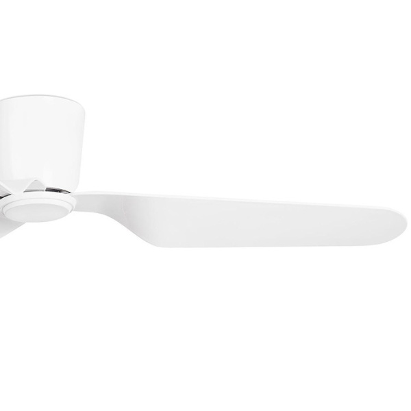 Вентилятор без подсветки Faro Pemba (33471N)