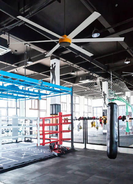 Вентилятор без подсветки Ветромастер 308