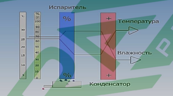 Промышленный осушитель воздуха MIRAVENT AQUA 100