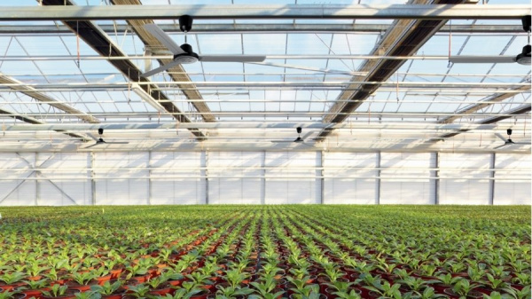 Вентилятор без подсветки Vortice Nordik Heavy Duty 200