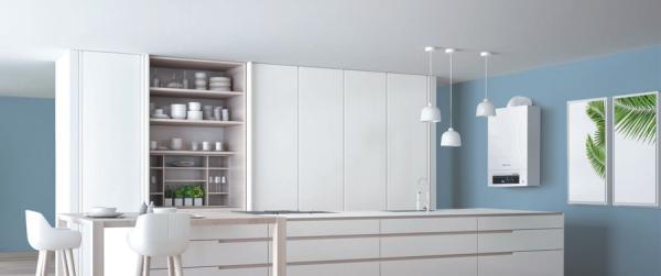 Настенный газовый котел Thermex Andromeda HM11