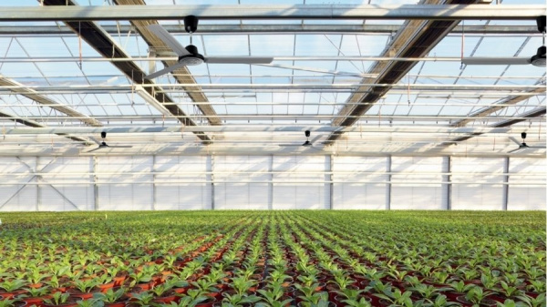 Вентилятор без подсветки Vortice Nordik Heavy Duty 160