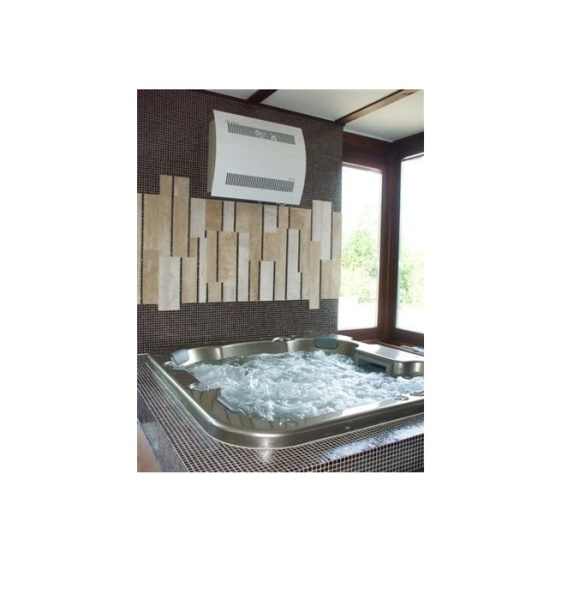 Осушитель воздуха настенный Dantherm CDF 40