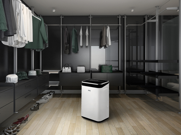 Бытовой осушитель воздуха Ballu BD25ER